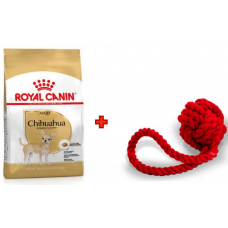 Royal Canin Chihuahua 1,5кг- корм для собак породи чіхуахуа + іграшка1
