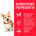 Hill's SP Hypoallergenic Medium корм для собак середніх порід з лососем 2,5 кг2