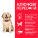 Hills SP Large Breed Puppy 14,5кг корм для цуценят великих порід з куркою2