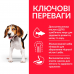 Hills SP Medium Puppy 2,5кг корм для цуценят середніх порід з куркою2