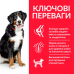 Hills SP Adult Large Breed 14кг корм для собак великих порід з куркою3