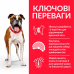 Hills SP Adult Light Medium 14кг корм для собак середніх порід схильних до ожиріння2