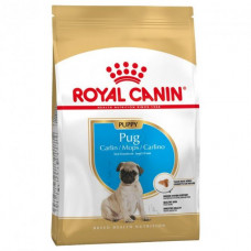 Royal Canin Pug Puppy 1,5кг - корм для цуценят мопс1