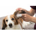 Trixie TX-29392 серветки для вух3