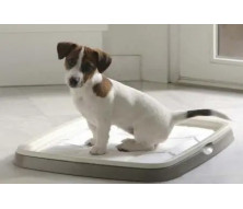 Туалети, пелюшки, памперси, лапомийки, пакети для вулиці