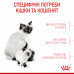 Royal Canin Mother and Babycat 10кг - корм для кошенят до 4 місяців, вагітних і годуючих кішок3