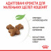 Royal Canin Kitten 2кг- корм для кошенят від 4 до 12 місяців5