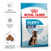 Royal Canin Maxi Puppy 15кг - корм для цуценят великих порід2