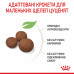 Royal Canin Medium Puppy 15кг корм для цуценят середніх порід6