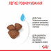 Royal Canin Mini Starter 8кг -корм для цуценят до 2 місяців, вагітні та суки маленьких розмірів3