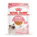 Royal Canin Kitten (шматочки в желе) 85г * 12шт паучі для кошенят3
