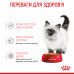 Royal Canin Kitten (шматочки в желе) 85г * 12шт паучі для кошенят8