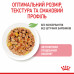 Royal Canin Kitten (шматочки в желе) 85г * 12шт паучі для кошенят4