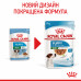 Royal Canin Mini Puppy 85г * 12шт - паучі для цуценят дрібних порід у віці c 2 до 10 місяців4