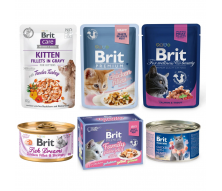 Brit (Чехія)