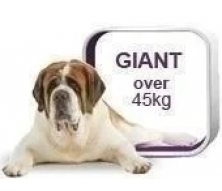 Royal Canin Giant-для собак вагою більше 45 кг