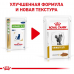Royal Canin Urinary S / O 85 гр * 12шт (шматочки в соусі) при захворюванні сечовидільної системи у кішок2