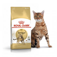 Royal Canin Bengal Adult 2кг - корм для дорослих кішок бенгальської породи1