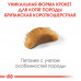 Royal Canin Kitten British Shorthair 2кг для кошенят британської короткошерстої4