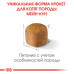 Royal Canin Maine Coon Kitten 2кг для кошенят породи мейн кун4