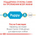 Royal Canin Chihuahua Puppy 1,5кг корм для цуценят породи чихуахуа2