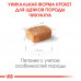 Royal Canin Chihuahua Puppy 1,5кг корм для цуценят породи чихуахуа3