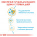 Royal Canin Chihuahua Puppy 0,5кг- корм для цуценят породи чихуахуа4