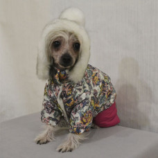 Костюм Pet Fashion Герда S (27-30см) для собак1