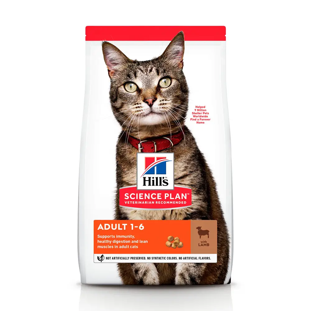 Hills SP Feline Adult 10кг корм для кішок (ягня)1