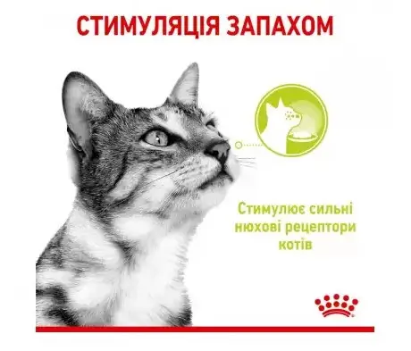 Royal Canin Sensory Smell Jelly (шматочки в желе) 85г * 12шт - паучі для вибагливих кішок старше 1 року2