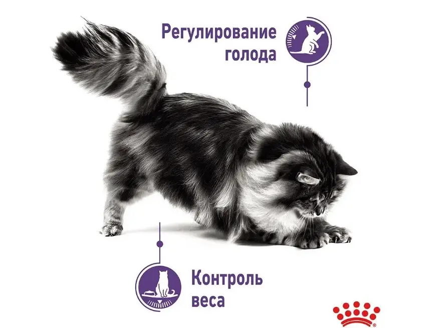 Royal Canin Appetite Control (шматочки в соусі) 85г * 12шт - паучі для кастрованих кішок2