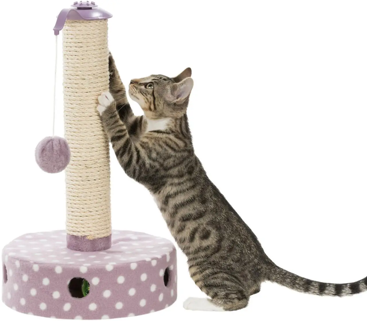 Trixie TX-42930 Junior Scratching Post кігтеточка 47 см з іграшками для кішок3