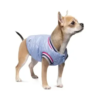Бомбер для собак Pet Fashion «Spike» XS1