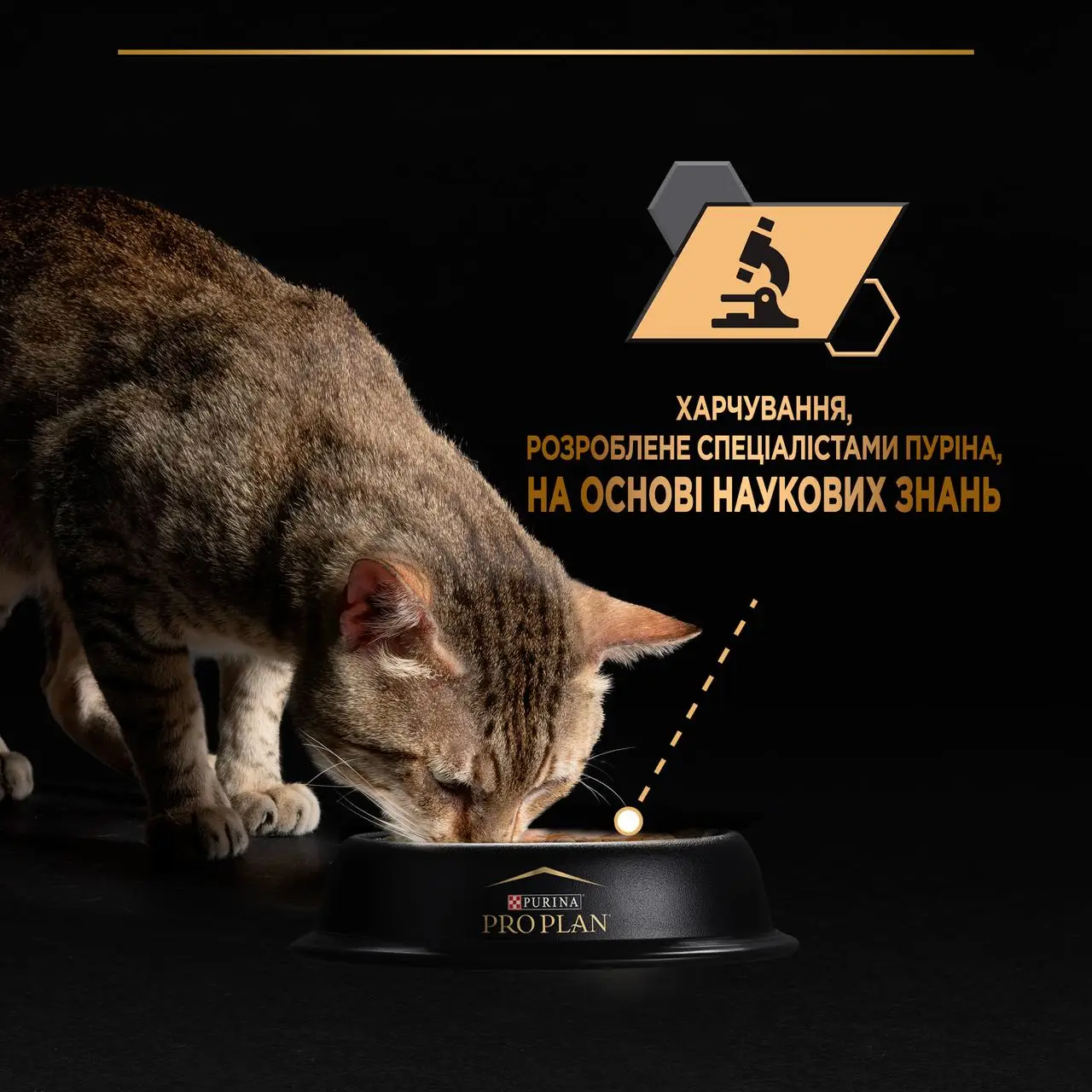 ProPlan консерви для кішок з куркою 85г*24шт2