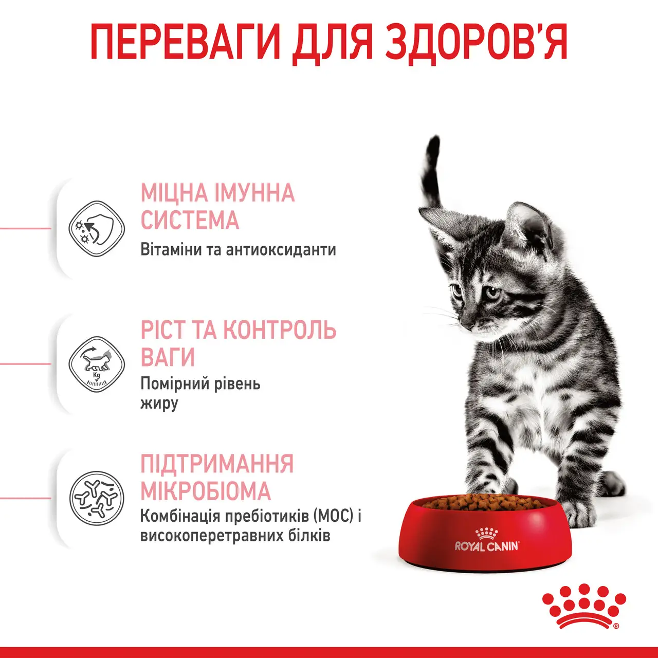 Royal Canin Kitten Sterilised 2кг в подарунок для стерилізованих кошенят3