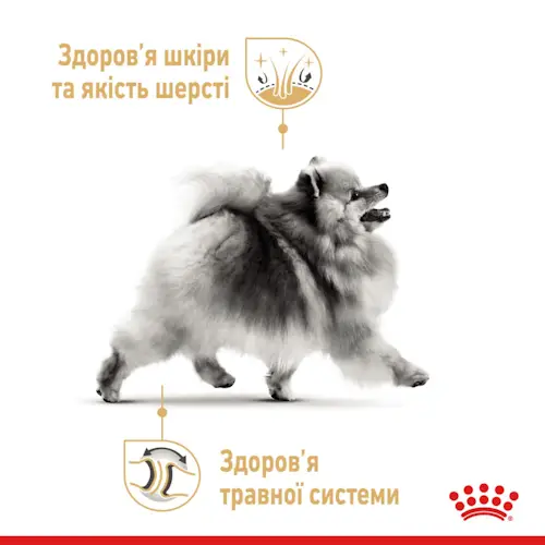 Royal Canin Pomeranian 1,5 кг + іграшка для собак породи шпіц3