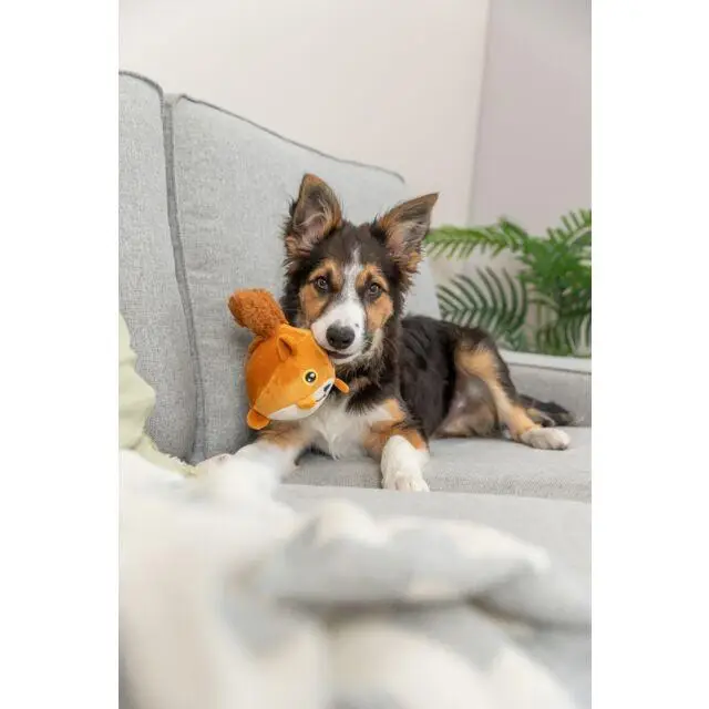 Trixie TX-36020 іграшка Білка для собаки з ефектом пам'яті 13 см2
