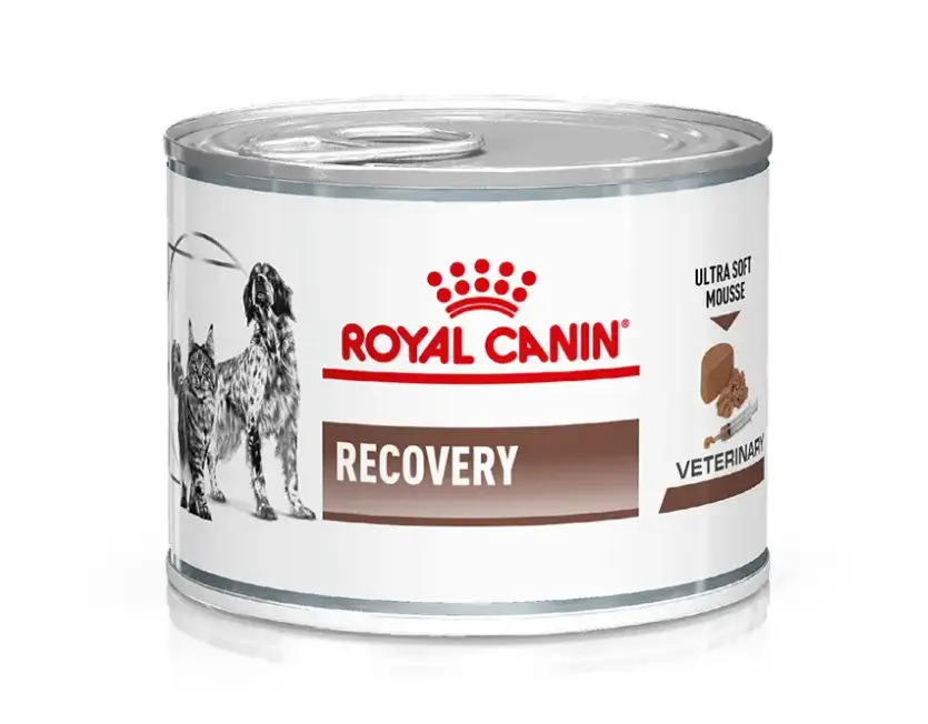 Royal Canin Recovery 195г - консерва для собак і кішок в відновлювальний період1