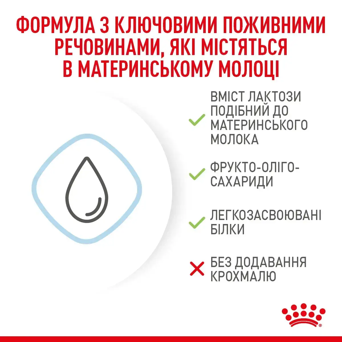 Royal Canin Babydog Milk 2 кг заменитель молока для щенков с рождения до отъема4