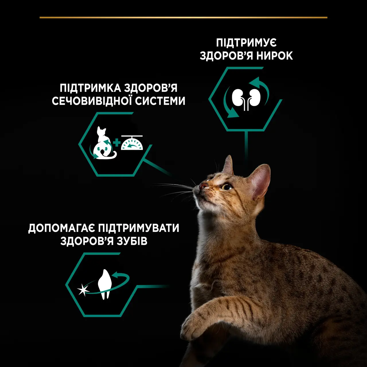Purina Pro Plan Sterilised 14 кг для стерилізованих котів із лососем3