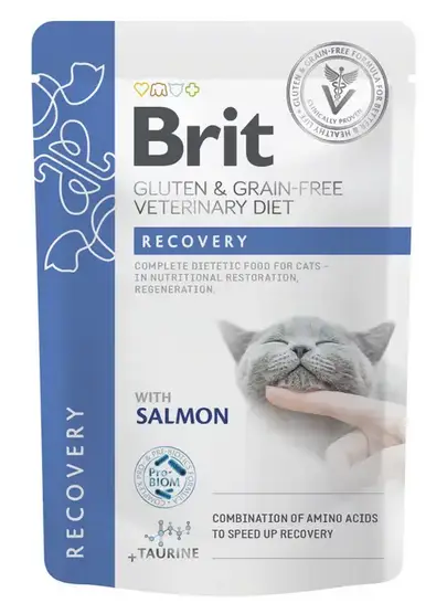 Brit GF VetDiet Gastrointestinal паучі для відновлення харчування та регенерації котів 85гх12шт (лосось)1