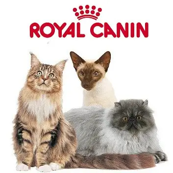 Royal Canin (Франція) супер преміум  корм для котів. 