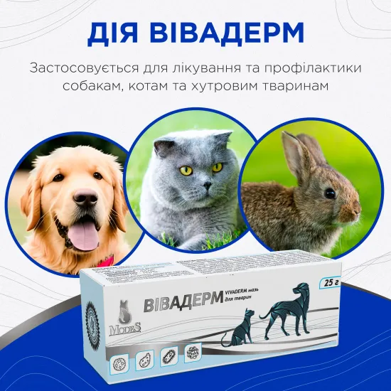 Вівадерм мазь 25 г3